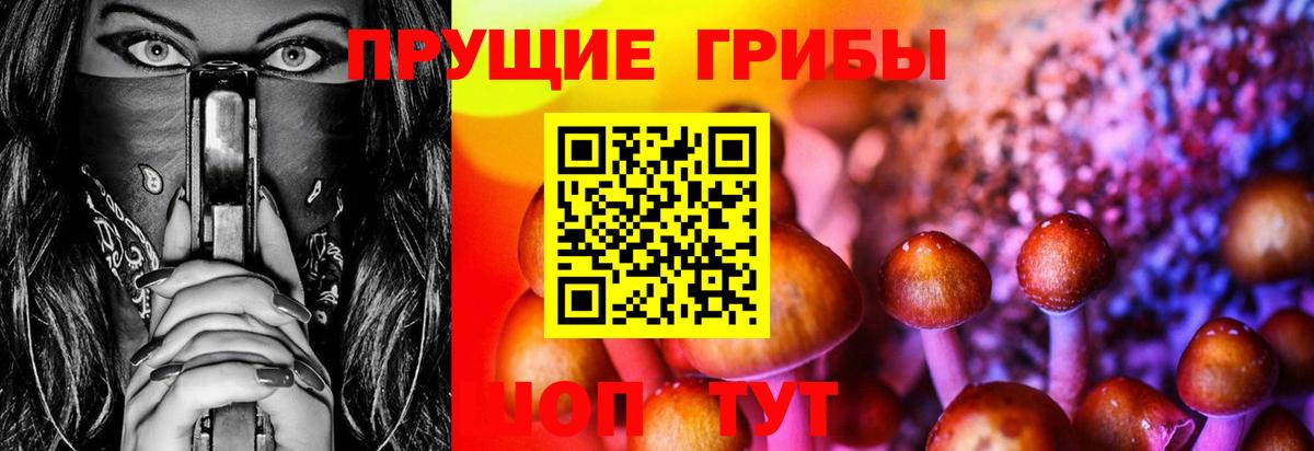 Псилоцибиновые грибы Psilocybine cubensis  Галлюциногенные грибы мицелий  Белово  Вход с VPN 